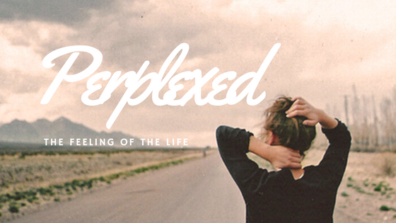 迷惘的人生，我到底該怎麼辦？