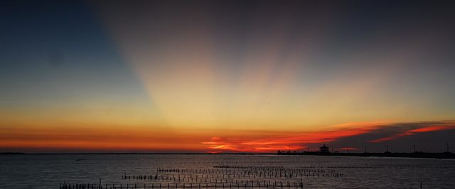 原來只要用這個方法就可以了解自己了…