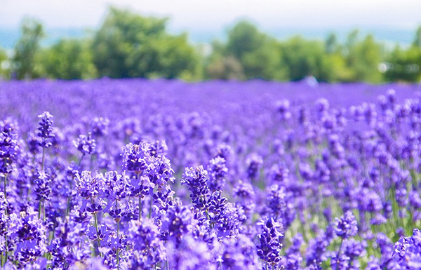 一個人的快樂程度，來自於”平衡”…