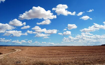 brown field and blue sky